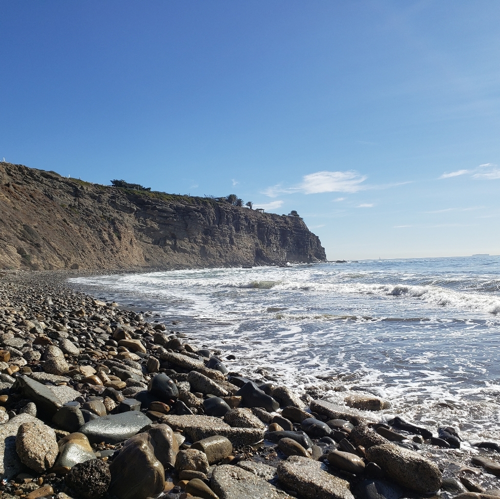 Meet your Posher, Jen